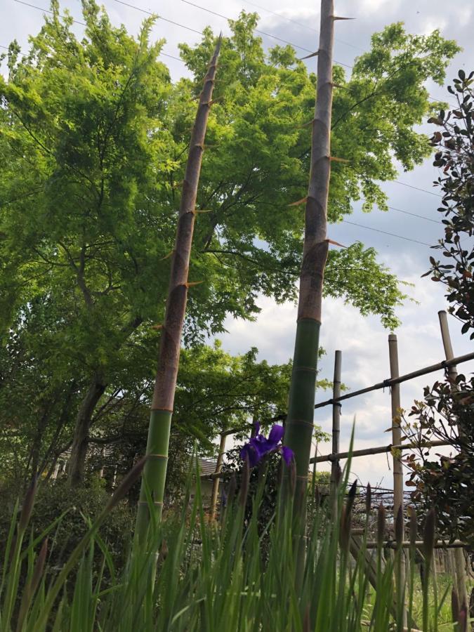 フクロウの御宿 Fuefuki Eksteriør bilde
